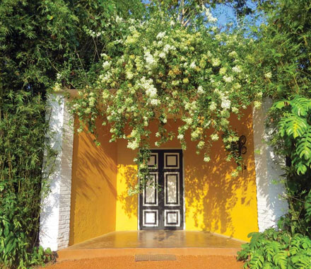 Bevis Bawa - Brief Garden