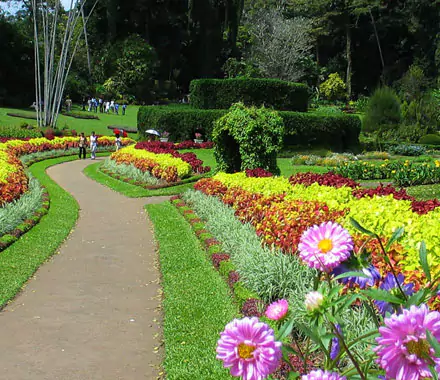 Botanical Garden