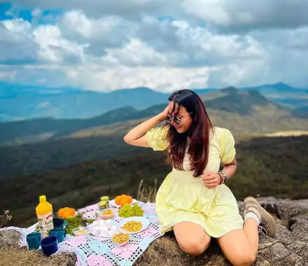 Picnic