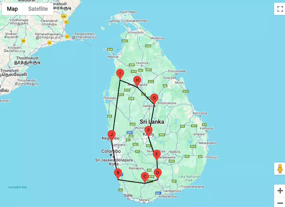 wildlife-map-67571319b7639